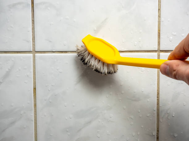 Best Mold Removal Company Near Me  in Lamar, MO