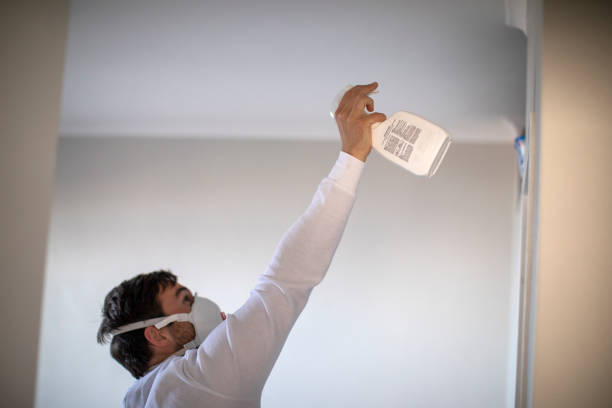 Best Local Mold Removal Service  in Lamar, MO