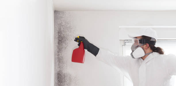 Best Residential Mold Removal  in Lamar, MO